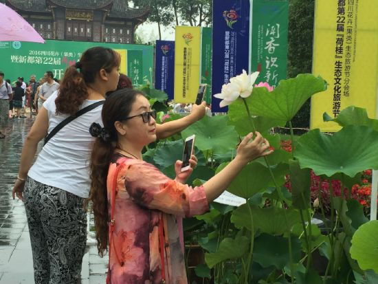 �ο�פ����ʢ���ĺɻ���Ӱ�������㣩