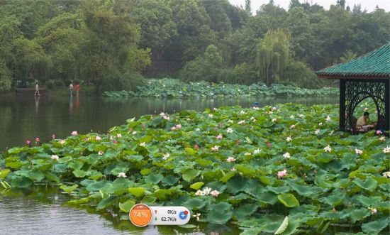 ������ŭ�ŵĺɻ����¶����㣩