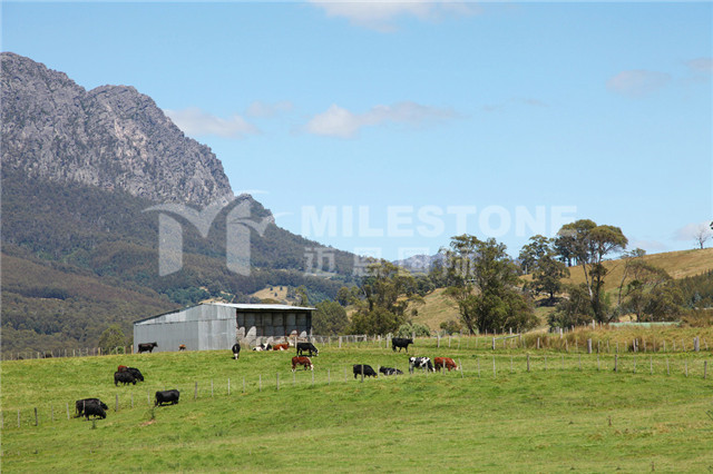 �Ĵ�����Ͷ������888ǩ֤��ʲô���к����ƣ�