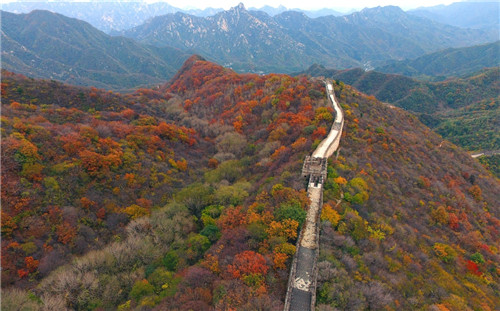 ����10��23������ı�������Ľ����������ɫ