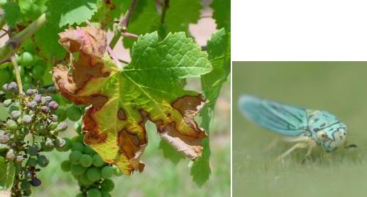 ���޾ٰ����ҶԵ���ݲ���������԰��Σ���������ֻ�