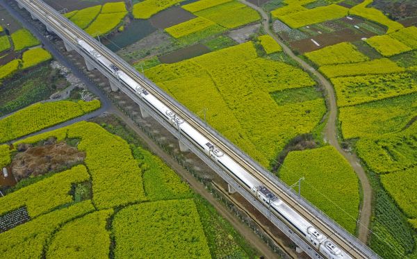 ����ͼƬ��һ�ж������г��ڻ����������ݰ�˳����ʻ�� �»��緢