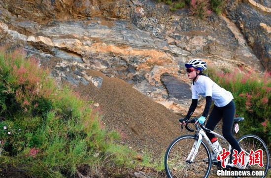 2017���й��Ĵ���������������г���������ǹ����