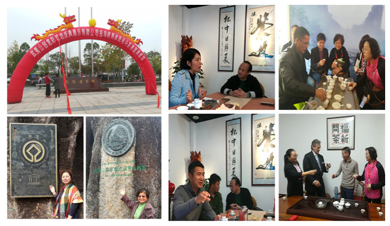 ��ʵ����ʮ�Ŵ���_Ʒ������_��_�߽���ƽ