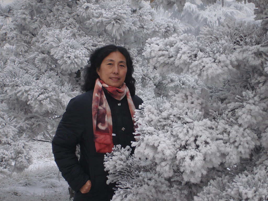 ���ӵ�������