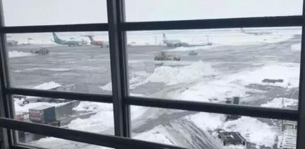 ��������ѩ�еĵº�������(ͼƬ��������)