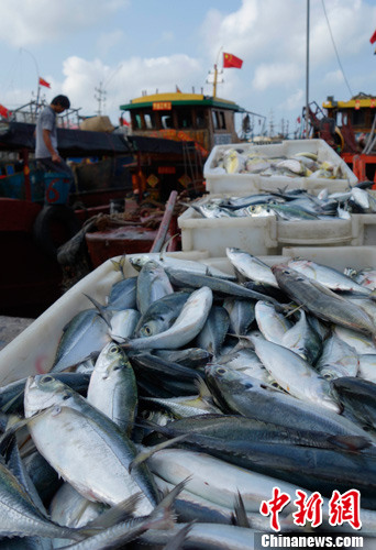 ����ͼ����������ͷѡ�����ʺ�����<a target='_blank'  data-cke-saved-href='http://www.chinanews.com/' href='http://www.chinanews.com/'>������</a>�� ���� ��