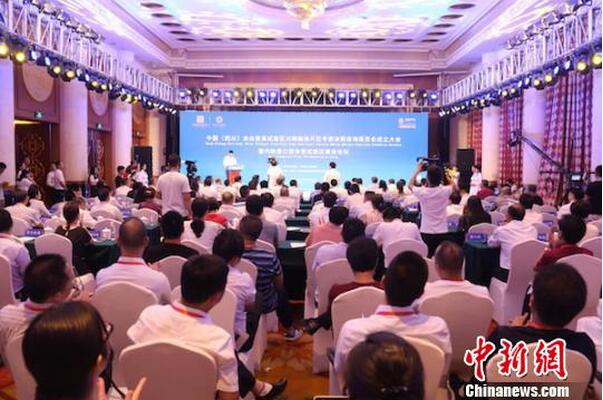 �Ĵ���ó�������ٸ�Ƭ������ר�Ҿ�����ѯίԱ��