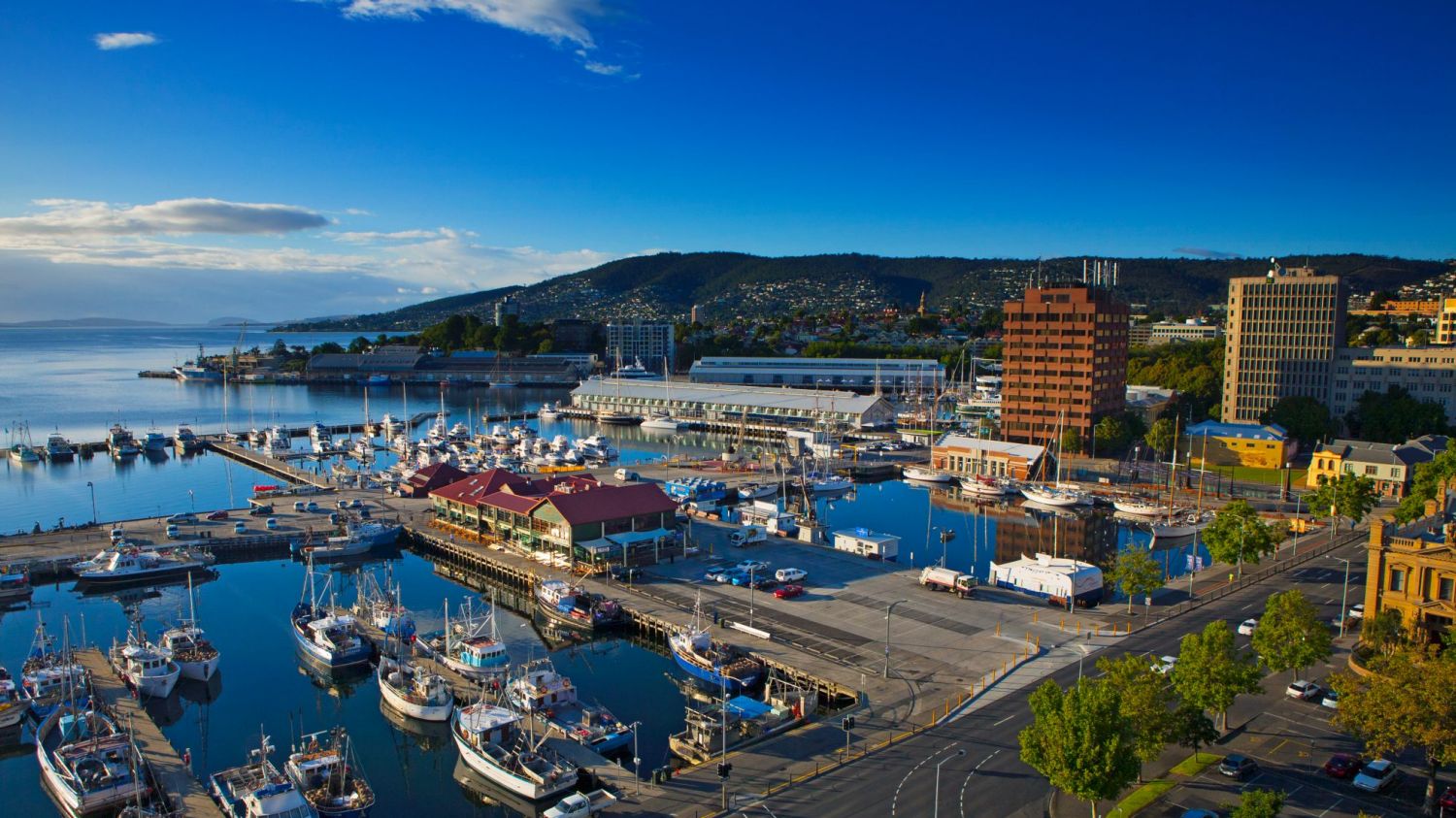 ���޷��ݿ������Խ� ��������ǵ���һ