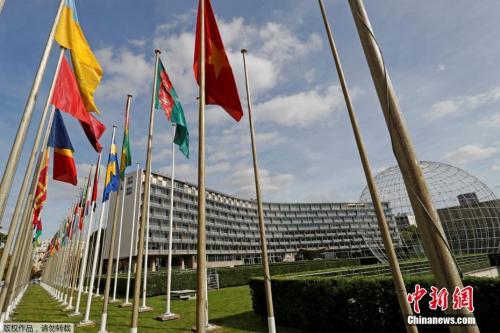 ���������һҳ