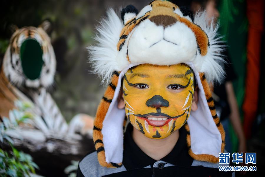 (国际)(3)马来西亚将加强打击偷猎马来虎行为 (国际)(3)马来西亚将加强打击偷猎马来虎行为