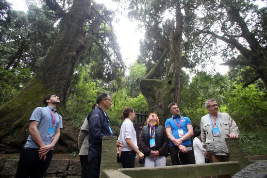 ����˹ý��η��Ĵ���Ԫ������_����������������Ļ�