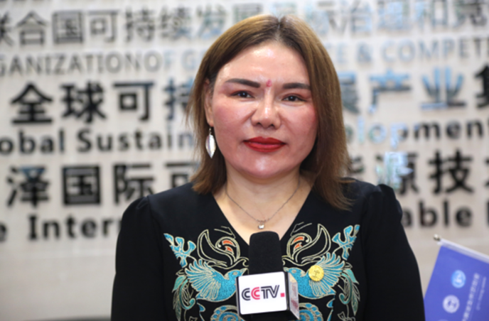 全球可持续发展产业委员会(GCSID)盛大启动 全球可持续发展产业委员会(GCSID)盛大启动