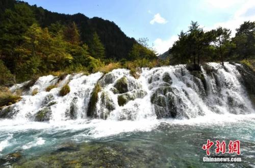 ���������һҳ