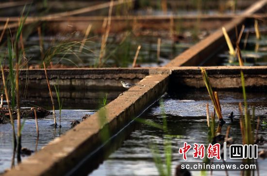 ��ɽ��Ħ���԰����������ξ�����������ˮ����ϵͳ(��һ)������ ��