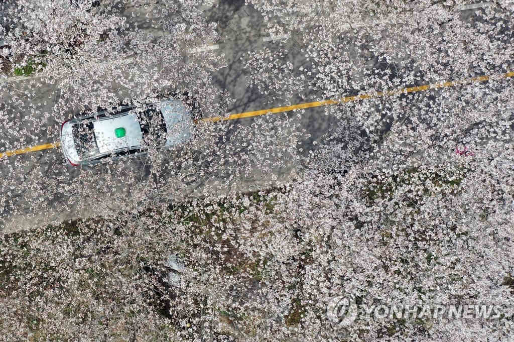 3��31�����磬��ȫ���ϵ����ǿ���Ԫ��ӣ������·�ϣ��ο����ڳ��������ͷ����ŵ�ӣ����