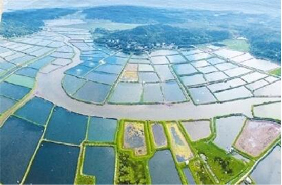 ����ʤ����ƶ����������