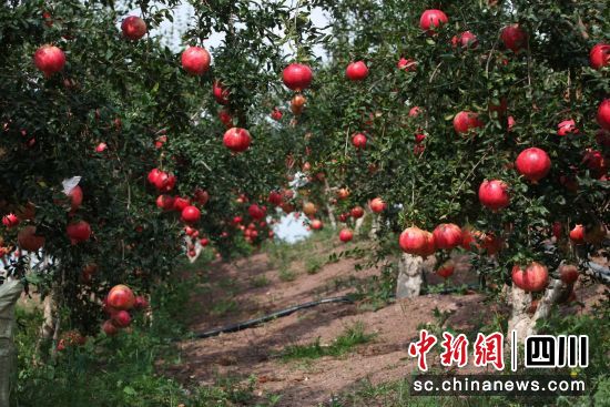 ˶��ʯ��(ëƽ��)