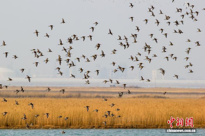 a816873c-6a43-4d57-837d-f0f8b0c13945_zsite.jpeg a816873c-6a43-4d57-837d-f0f8b0c13945_zsite.jpeg